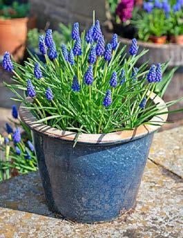 Winning the spring jackpot