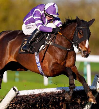 StarForm NUMBER ONE FOR RACING