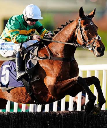 Best bets for today’s racing from our Starform expert Steve Curry
