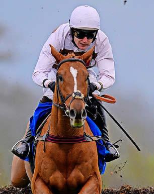 Best bets for today’s racing from our Starform expert Steve Curry