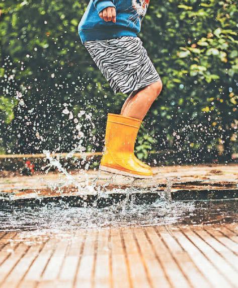 Rain gardens make a splash