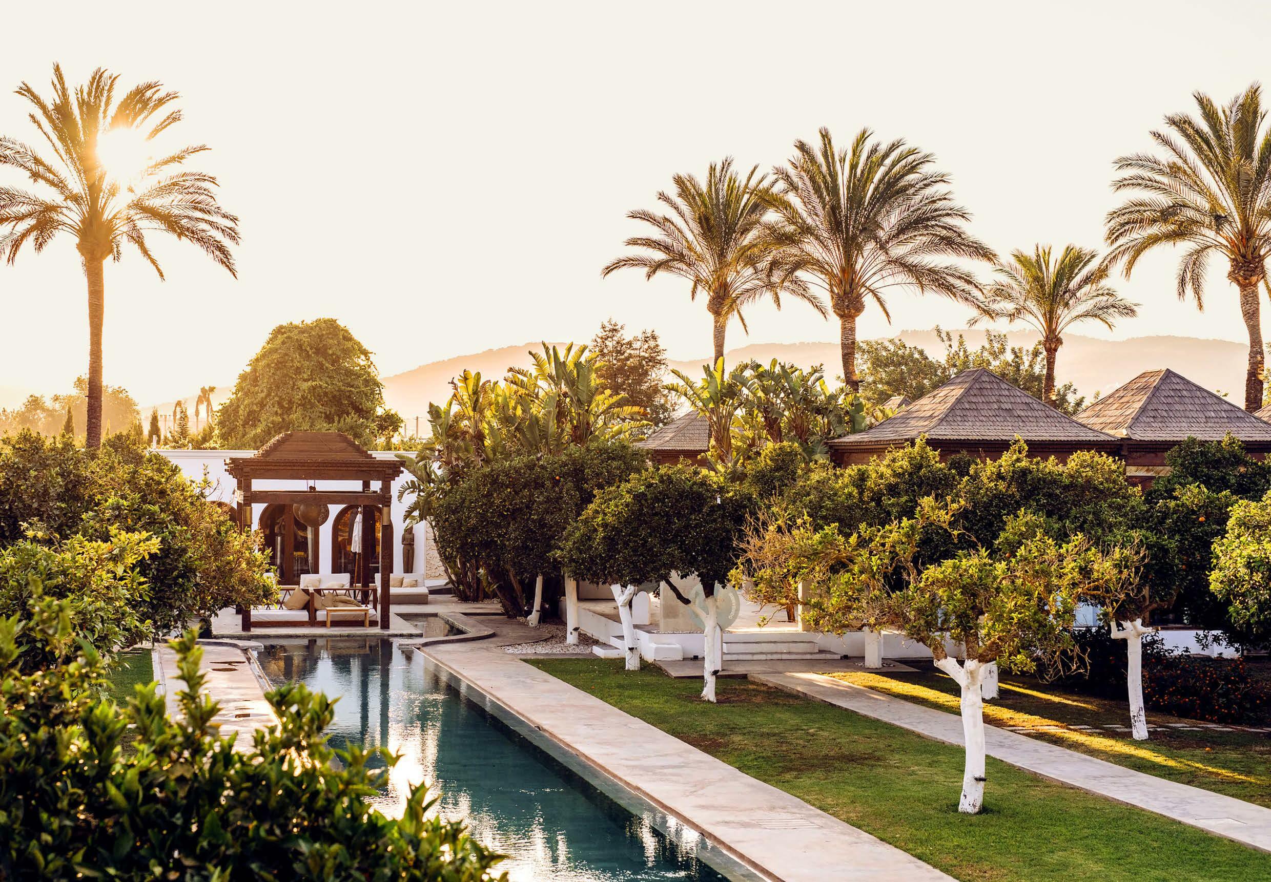 THE WELLNESS ISLE