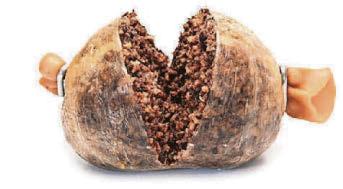 Hopes grow that Trump will restore haggis to US