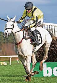 Warrior Samouri looks deadly for trainer Lucy in Cannon Chase