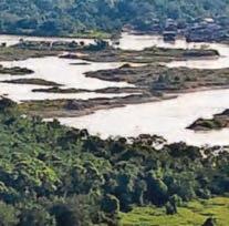 FIGHTING FOR THE FORESTS