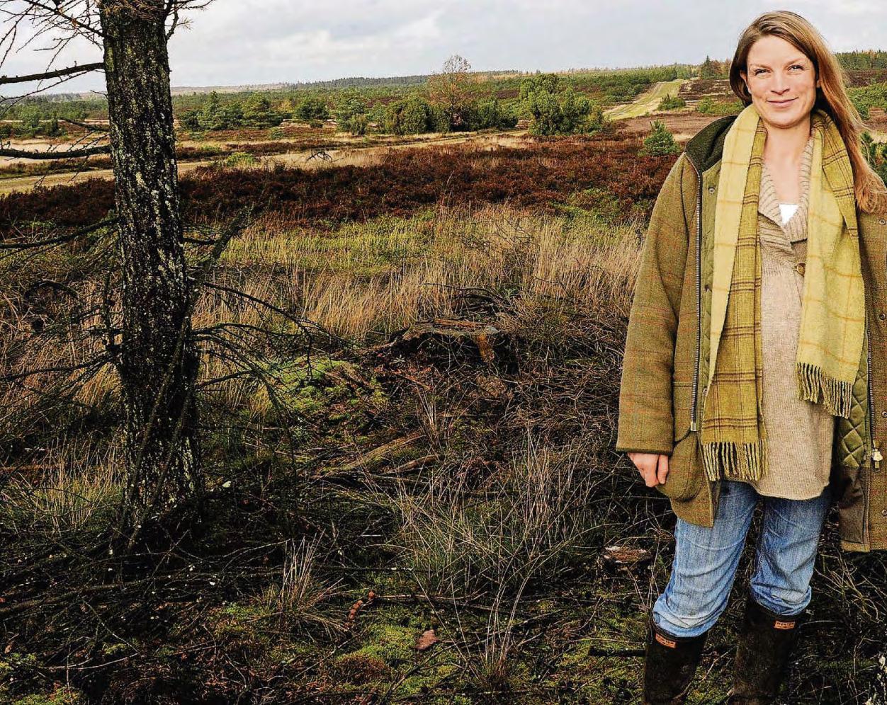 Playground for the super rich