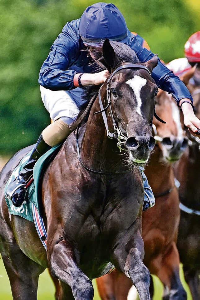 WARSAW IMPACT LOOKS SAFE BET