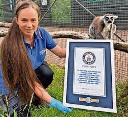 Lemur Stumpy makes history