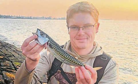 Wholly mackerel