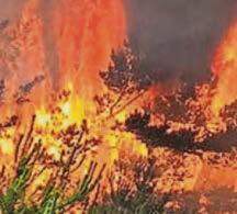 WILDFIRES ARE NOW A RISK TO LIFE