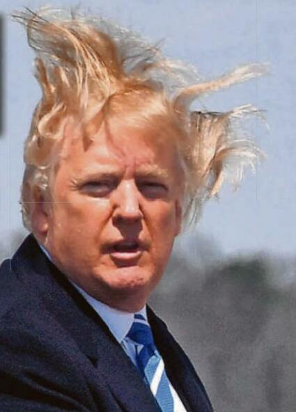 DON WITH THE WIND