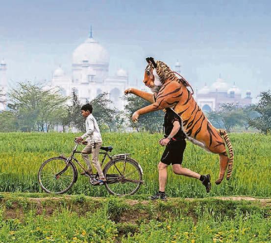 Marathon runner earns his stripes