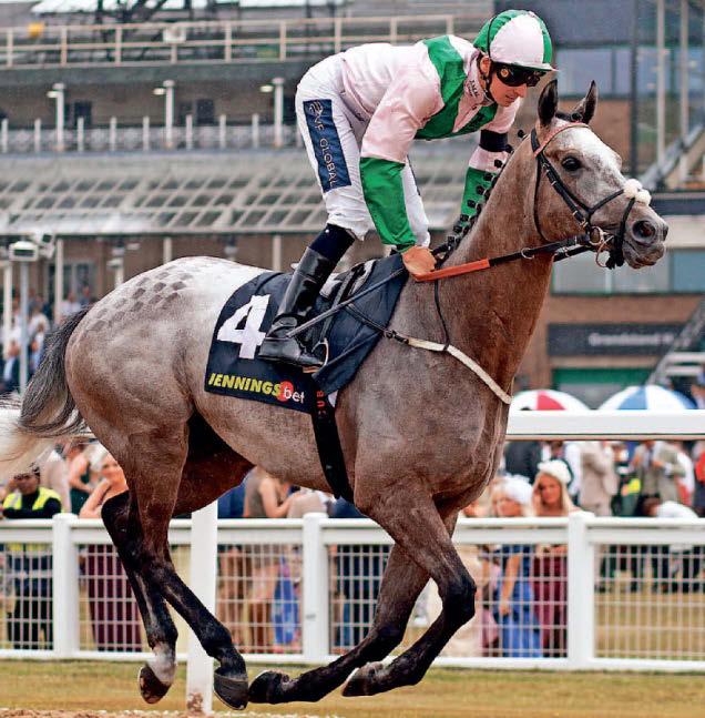 SUNNY FUTURE FOR IAN'S SHER