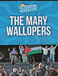 Bands pull out of festival after Palestinian flag row