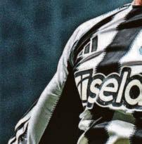 THE HARVS AND THE HARV NOTS