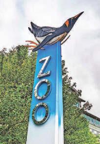 ZOOKEEPER 'NOT GOOD ENOUGH'