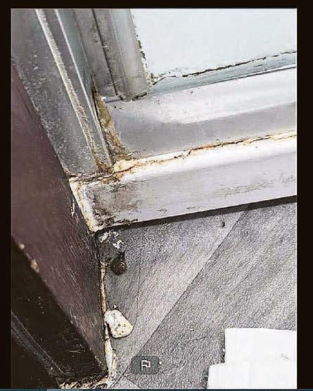 Lady Muck's 'squat hotel' plagued by mould & bed bugs