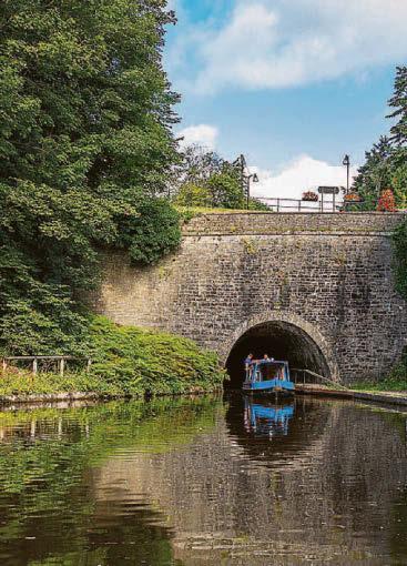 Champion the best of Chirk
