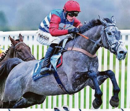 NICHOLLS LOVES BIT OF DRAMA