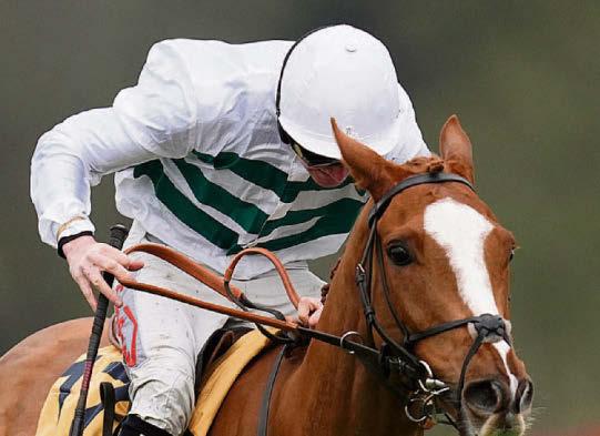 Moore's favouring Mondo County bid