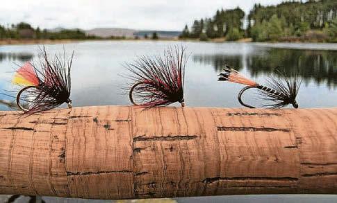 Trout & about