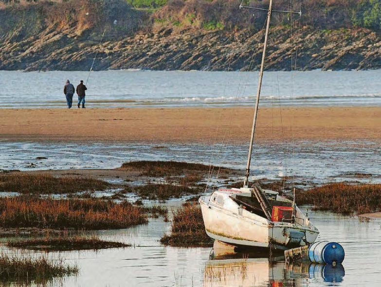 Calls for wildlife to be protected at old harbour