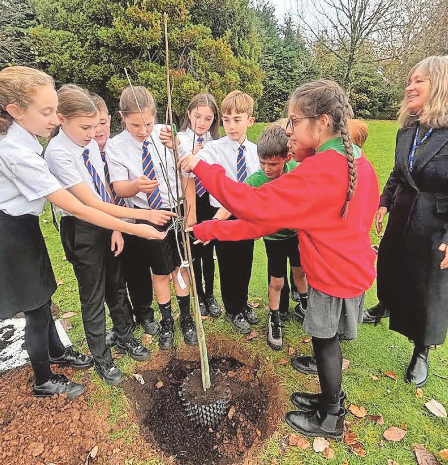 City pupils mind the Gap with iconic tree's sapling