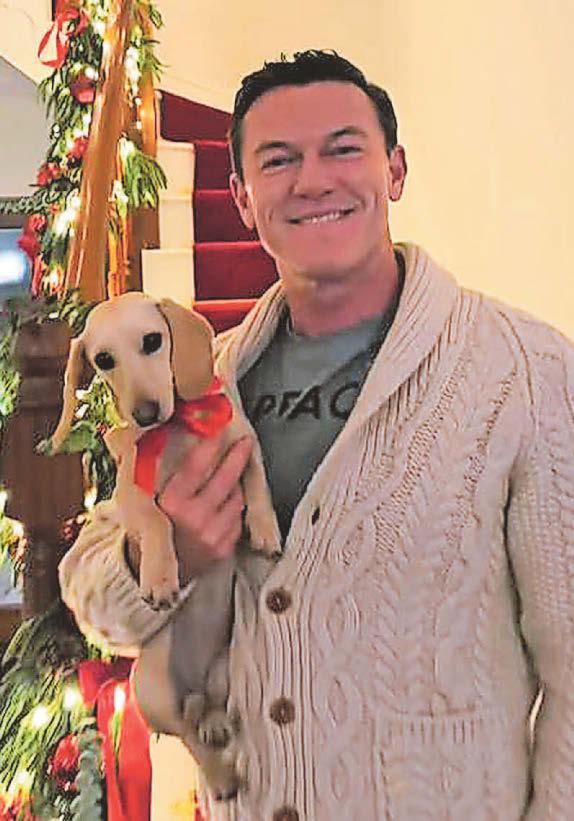 Hollywood star Luke back in Wales for Xmas