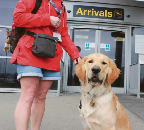 Guide dog pups get training day at airport