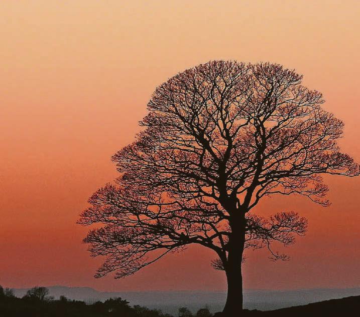 Record breaking amount of sunshine for April