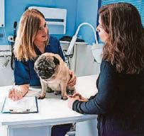 Top tips on how to keep your vet bills affordable