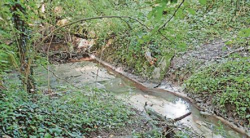 Water companies probed in sewage dumping crackdown