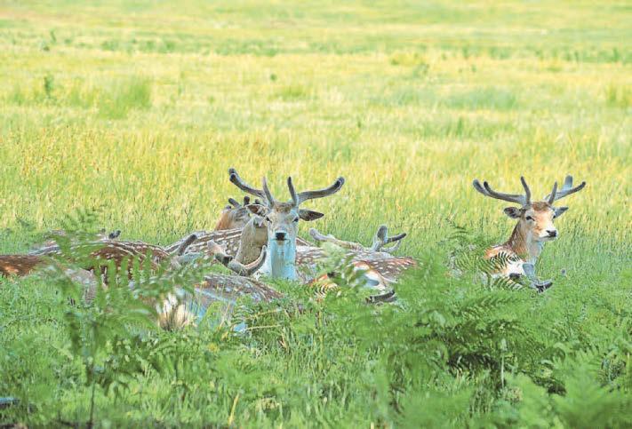 High pressures leads to very sunny month