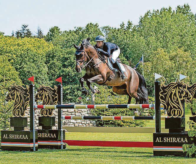 Gelding triumphs on its Hickstead debut