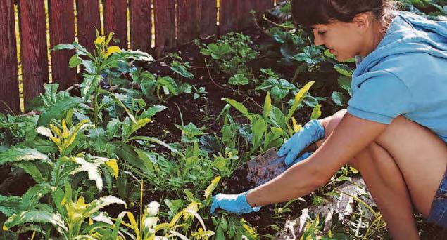 Flag day for eco-friendly school stars