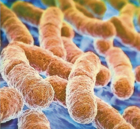 NHS reports rising levels of infections in healthcare