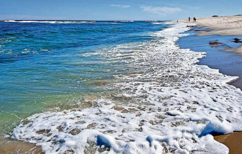 Local photographers prove to be splash hit