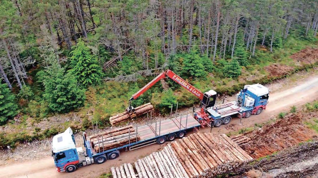 Funding award set to deliver key timber transport boost