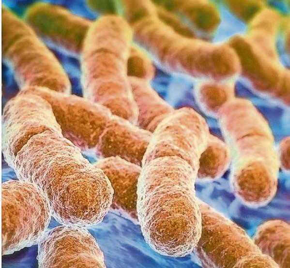 NHS reports rising levels of infections in healthcare