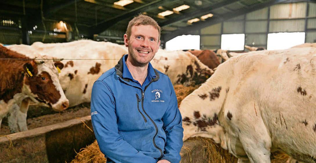 Food and drink firms ready to shine as part of national event