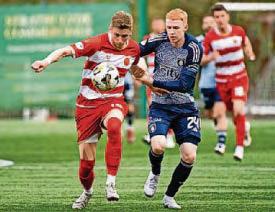 Spiders take boost from Accies'plight