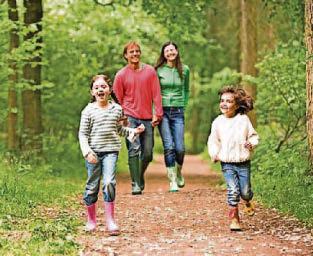 Get walking with groups across area