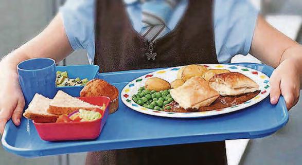 Schools on the menu for free meals pilot scheme