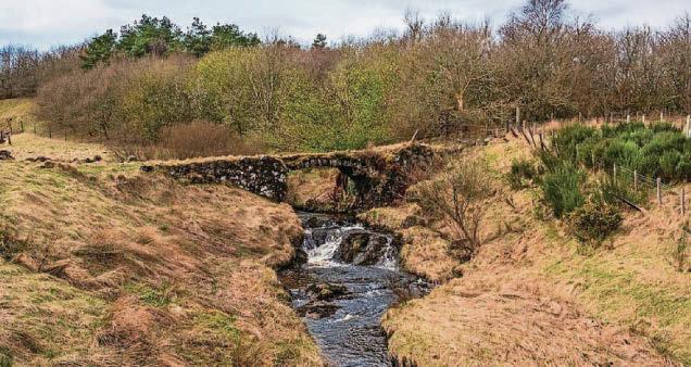 Family farm near Denny up for sale