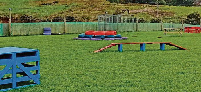 Dog exercise park has caused damage reveals watchdog