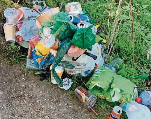 Beauty spot Falls victim to litter louts