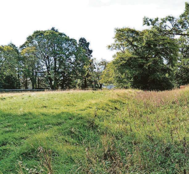 Shivers on forgotten road used ahead of famous battle