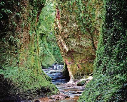 WARNING FOLLOWING STUDENT'S TRAGIC DEATH