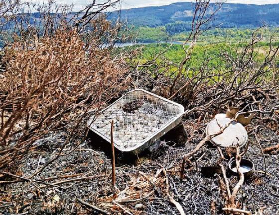 Warning given over extreme risk of wildfires