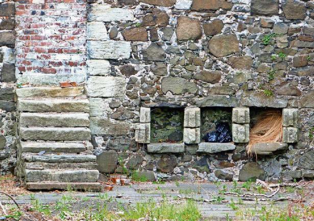 Bee boles are hidden gem of Cowane’s beekeeping history